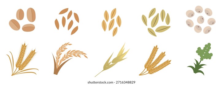 Ingredientes de cereales y harina con tipos de granos integrales, tallos de trigo y espigas de arroz, perfectos para ilustrar el empaque de alimentos, información dietética y guías de alimentación saludable.