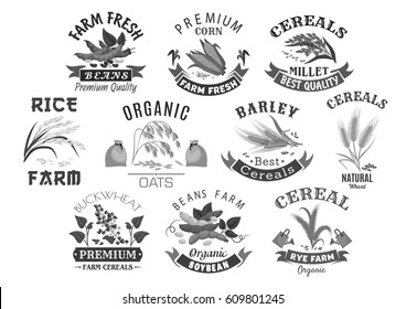 Cereal And Grain Icons For Market Or Product Store. Wheat Or Rye Ears, Buckwheat Seeds And Oat Or Barley Millet Flour Bag And Rice Sheaf. Agriculture Corn And Farm Legume Beans Or Pea. Vector Set.