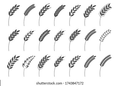 Cereal grain spikes icon shape set. Agriculture food logo symbol. Vector illustration image. Isolated on white background. Oat, whey, barley, rye.