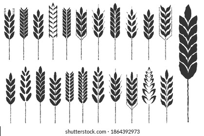 Cereal grain spikes icon shape set. Agriculture food logo symbol. Vector illustration image. Isolated on white background. Oat, whey, barley, rye.