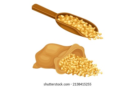 Cereal grains set. Scoop and sack of wheat, barley or rye grains vector illustration