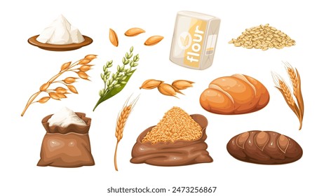 Cereal harvest, cartoon grains and flour for baking bread set. Golden oat and dry wheat ears, cartoon cereal ripe seeds in pile and open burlap bag, bulk food product for bakery vector illustration