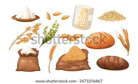 Cereal harvest, cartoon grains and flour for baking bread set. Golden oat and dry wheat ears, cartoon cereal ripe seeds in pile and open burlap bag, bulk food product for bakery vector illustration