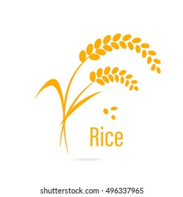 Cereal icon with rice. Vector illustration isolated on white background.