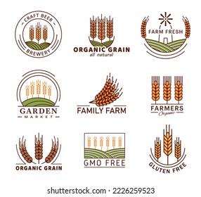 Iconos de cereal de espiga de oreja de trigo, mijo de cebada o centeno, emblemas agrícolas vectoriales. Mercado de huerto orgánico y etiquetas libres de gluten o OMG para pan o productos de cereales y cervecería