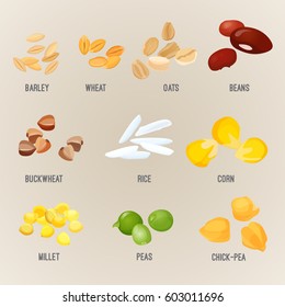 Cereal piles of various types with some big grains colorful vector. Illustration of organic barley, healthy wheat, oats with beans, buckwheat in rice, yellow corn and millet, type of pea chick-pea