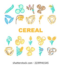 íconos de alimentos sanos para plantas de cereales constituyen un vector. tazón de desayuno, maíz de leche, grano de trigo, bocadillo por la mañana, comida orgánica, plantas dulces de cereales, ilustraciones de la línea de color de alimentos saludables