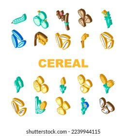 cereal plant healthy food icons set vector. breakfast bowl, milk corn, wheat grain, snack morning, organic meal, sweet cereal plant healthy food isometric sign illustrations
