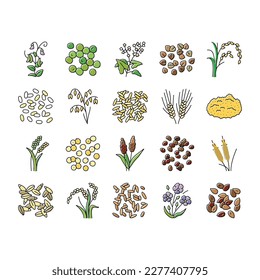 íconos de alimentos sanos para plantas de cereales constituyen un vector. tazón de desayuno, maíz de leche, grano de trigo, bocadillo por la mañana, comida orgánica, plantas dulces de cereales, ilustraciones de la línea de color de alimentos saludables