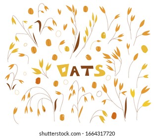 Cereal plants, agriculture industry organic crop products for oat groats flakes, oatmeal packaging design. Flat illustration of grains. Healthy nutrition logo, packaging concept design.