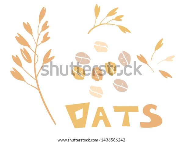 Cereal plants, agriculture industry organic\
crop products for oat groats flakes, oatmeal packaging design. A\
handful of oats seed. Template for banner, card, poster, print and\
other design projects.