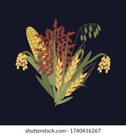 Cereal plants bunch vector illustration