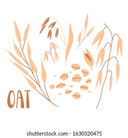 Cereal plants, Oat groats flakes isolated on white background. Flat illustration of grains. Healthy nutrition logo, packaging concept design.