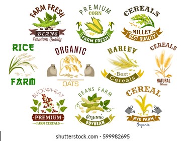 Cereal product icons. Vector symbols of wheat flour bag, rye ears and grain, buckwheat seeds and oat or barley millet and rice sheaf. Isolated agriculture corn cob and farm legume beans or pea