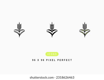 Cereal Rye Icon. Wheatears Grass Farm Symbol Stock Illustration. Vector Line Icons For UI Web Design And Presentation