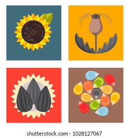Cereal seeds grain product badge vector logo templates set natural plant muesli grainy organic porridge flour illustration.