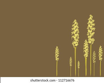 Cereal Set of cereals on the brown background