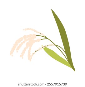 Cereal spikelet of rice vector illustration