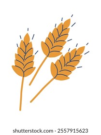 Cereal spikelet of wheat vector illustration