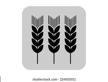 Cereal vector icon