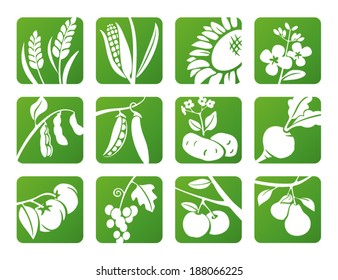 Cereal, vegetables and fruits icons set