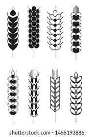 Cereal wheat and barley rye and millet spikes isolated monochrome objects field plants vector flour ingredient bread production dry seeds, on stem ripe organic product farming and agriculture
