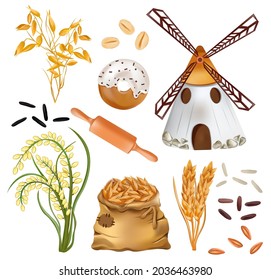 Cereals barley, ears of wheat and windmill, rice, bakery products, sack with wheat, oats on white background. Agriculture, organic product. Vector illustration