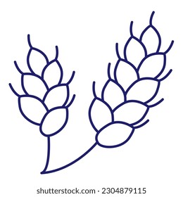 Cereals doodle illustration icon pearl millet, agriculture, wheat, barley, rice, maize, timothy grass, buckwheat, proso, sorghum.Thin line art about grain plants.Editable Stroke.Wheat ear icon line.