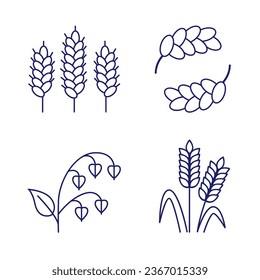 Cereals doodle illustration icon pearl millet, agriculture,wheat,barley, rice, maize, timothy grass, buckwheat, proso, sorghum.Thin line art about grain plants.Editable Stroke.Wheat ear icon line. SET