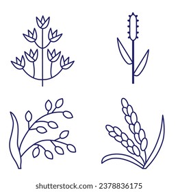 Cereals doodle illustration icon pearl millet, agriculture, wheat, barley, rice, maize, timothy grass, buckwheat, proso, sorghum.Thin line art about grain plants.Editable Stroke.Wheat ear icon lineSET