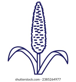 Cereals doodle illustration icon pearl millet, agriculture, wheat, barley, rice, maize, timothy grass, buckwheat, proso, sorghum.Thin line art about grain plants.Editable Stroke.Wheat ear icon line.