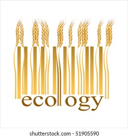 Cereals, ecology BAR CODE ,  Isolated over background and groups, vector ILLUSTRATION