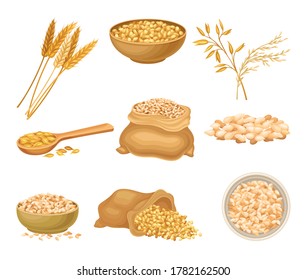 Cereals or Grain Crops with Dry Seeds in Sack Vector Set