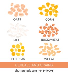 Cereals and grain, oats/ rice/ corn/ split peas/ wheat/ buckwheat isolated. Vector illustration