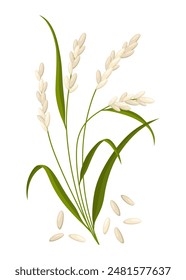 Cereals or grain plant icon. Isolated agriculture, farm crop harvest. Ripe agricultural plant vector illustration