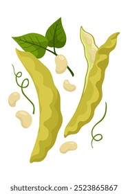 Cereals or grain plant icon. Isolated agriculture, green pea pods, farm crop harvest. Ripe agricultural plant vector illustration