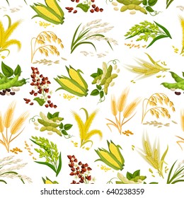 Cereals and grain vector seamless pattern. Wheat and rye ears, buckwheat seeds and oat or barley millet farmer plant and rice sheaf. Agriculture harvest of corn cob and farm legume beans or pea