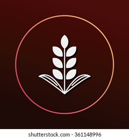 Cereals icon