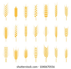 Cereals icon set with rice, wheat, corn, oats, rye, barley. Concept for organic products label, harvest and farming, grain, bakery, healthy food. Agricultural symbols isolated on white background.