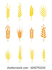 Cereals icon set with rice, wheat, corn, oats, rye, barley. Ears of wheat bread symbols. Organic , agriculture seed, plant and food, natural eat.  Wheat ears or rice icons set.