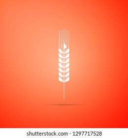 Cereals icon set with rice, wheat, corn, oats, rye, barley sign isolated on orange background. Ears of wheat bread symbols. Agriculture wheat symbol. Flat design. Vector Illustration