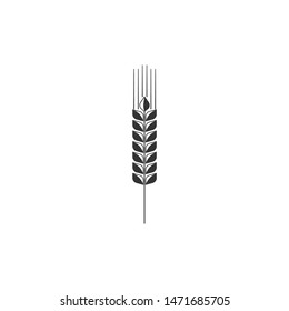 Cereals icon set with rice, wheat, corn, oats, rye, barley sign isolated. Ears of wheat bread symbols. Agriculture wheat symbol. Flat design. Vector Illustration