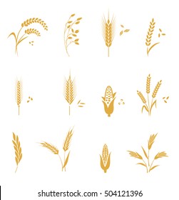Cereals icon set with rice, wheat, corn, oats, rye, barley.