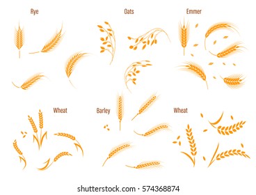 Cereals icon set with rice, wheat, corn, oats, rye, barley. Concept for organic products label, harvest and farming, grain, bakery, healthy food.