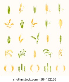 Cereals icon set with rice, wheat, corn, oats, rye, barley. Concept for organic products label, harvest and farming, grain, bakery, healthy food. 