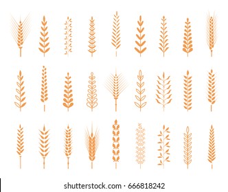 Cereals icon set with rice, wheat, corn, oats, rye, barley.  Concept for organic products label, harvest and farming, grain, bakery, healthy food. Agricultural symbols isolated on white background.