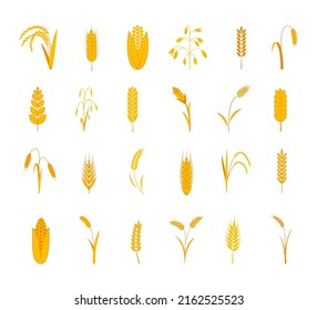 Cereals icons. Barley and wheat items. Rye and rice grain yellow silhouettes, bakery logo, grass fields decorative elements. Organic food labels, gluten emblem, bread logotype vector set