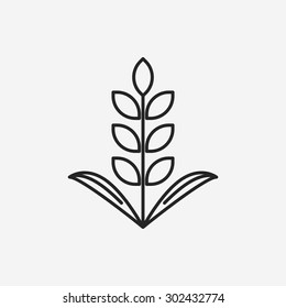 Cereals line icon