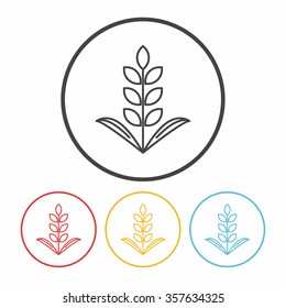 Cereals line icon