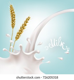 cereals and milk, wheat ears splashing milk splash vector